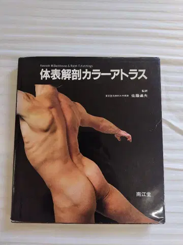 체표해부 아틀라스(남강당)