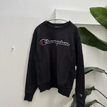 Champion 리버스 위브 SMALL