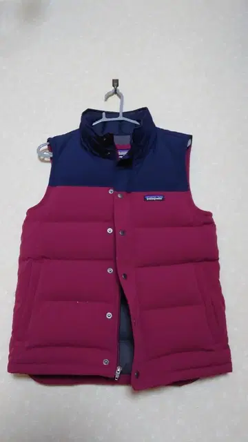 파타고니아 다운 베스트