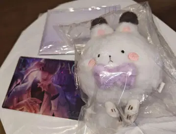 러브 앤 딥스페이스 세이야