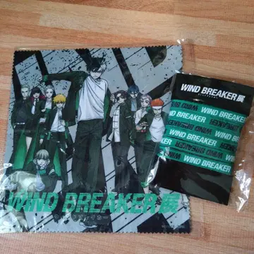 windbreaker  신발끈과 파이버 크로스