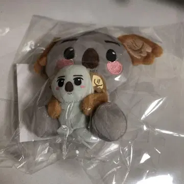 2PM 팝업 백참 코알라쿤