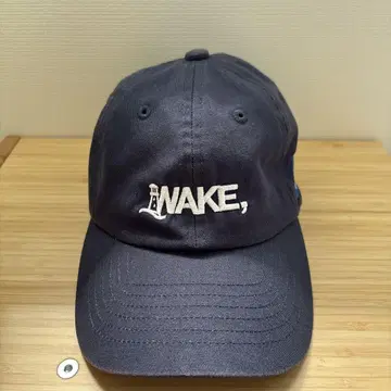 wake sapporo x alwayth 캡