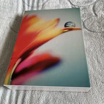 SADS DVD 도서 키요하루 쿠로유메 FALLING