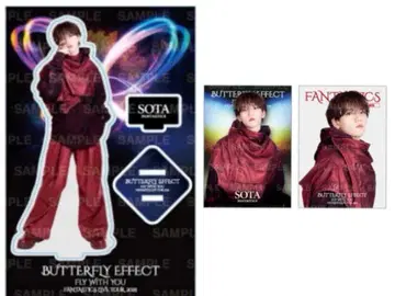 나카지마 소우타 아크릴 스탠드 BUTTERFLY EFFECT
