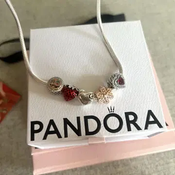 Red Velvet 앰버서더 PANDORA 실버 목걸이 참 5개