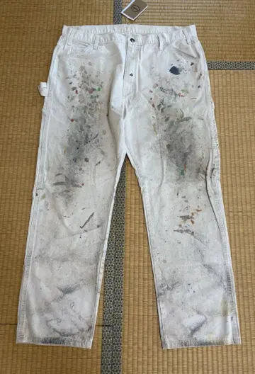 1 Dickies Sherwin Williams w38