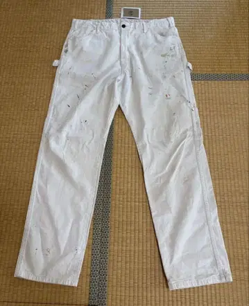 3 Dickies Sherwin Williams w36