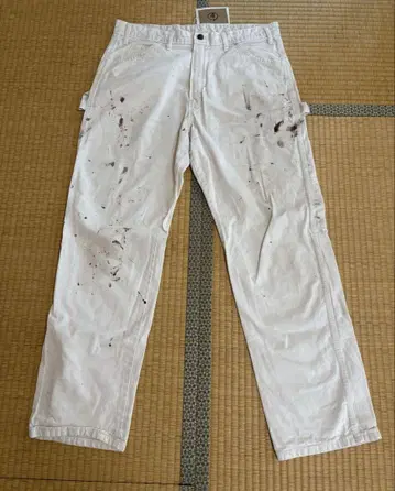4 Dickies Sherwin Williams w36