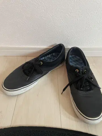 4q conditioning max schaaf syndicate era