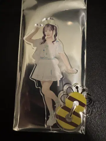 타카하시 아야네 AKB48 다이마루 현명 머리띠 랜덤 아크릴 스탠드