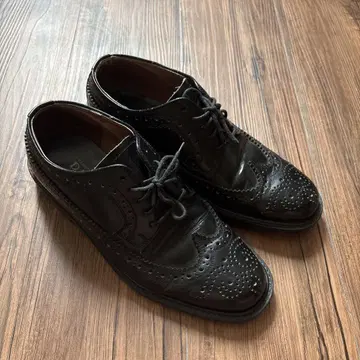 DANAWAY 윙팁 24.5cm