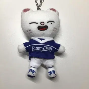 지니레트 백참