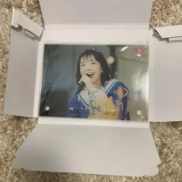 사립 에비스 중학교 사쿠라이 에마 파미엔 패널