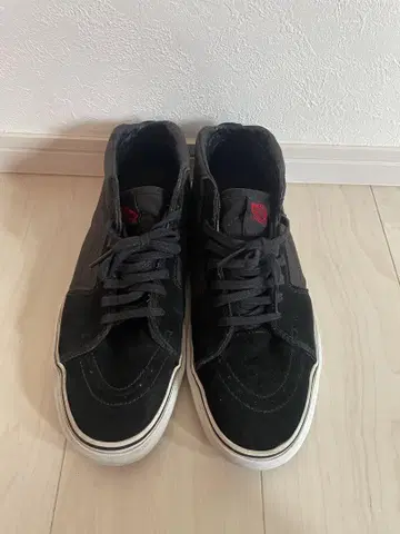 4q conditioning max schaaf 29 vans
