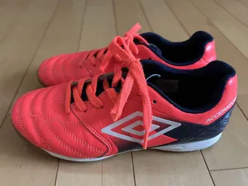 축구 풋살화 엄브로 액셀러레이터 22.5cm