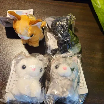 고양이 봉제 인형 4세트 키링 포함