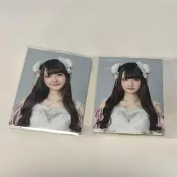 큥루링떼시테미테 치바유나 ZEPP 증명사진