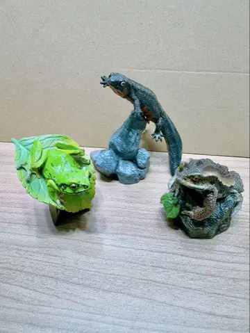 생물대도감 3체 세트