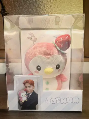 JOCHUM 초대 BIG 봉제 인형 포포