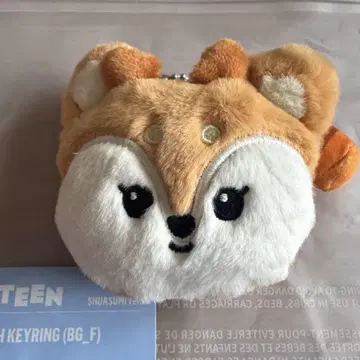 MINITEEN FACE PLUSH KEYRING shuasumi ver