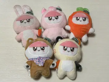 SEVENTEEN 봉봉이