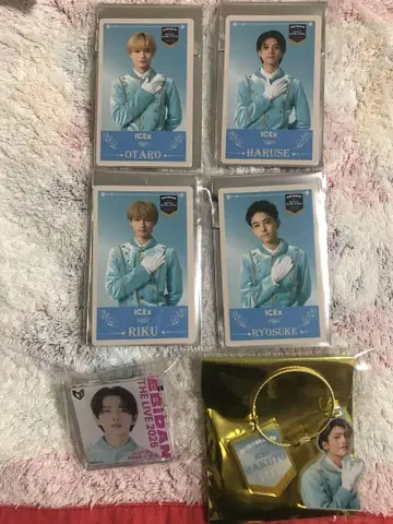 EBIDAN THE LIVE 2025 에비라이 ICEx 6점