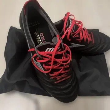 모렐리아 NEO4 25.5