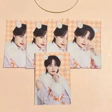 러브식 타로 gigo 드링크 혜택