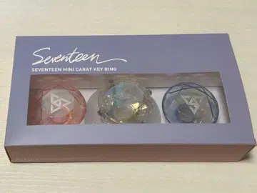 SEVENTEEN 미니 캐럿 키링