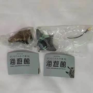 해유관 가챠가챠 캡슐 토이  아카하나구마