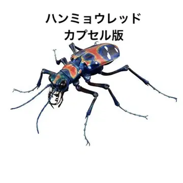 생물대도감 프리미엄 길앞잡이 (레드)