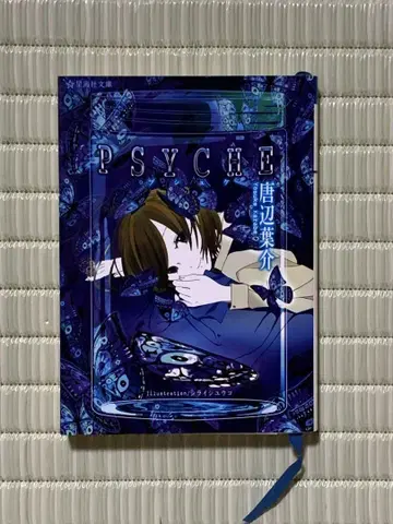 psyche 문고본
