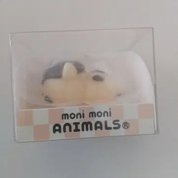 모니마루즈 다람쥐 monimoni Animals 모니모니애니멀즈