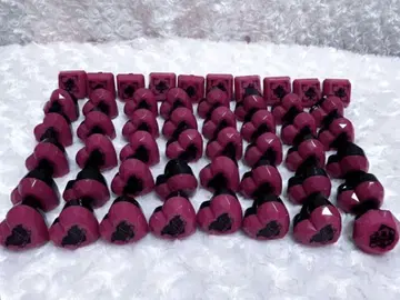 테루토군 링 라이트