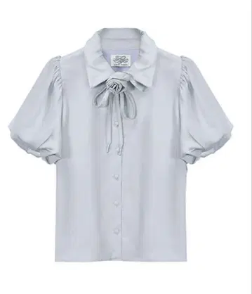 Rose choker satin puff blouse