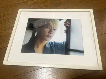 팬더드래곤 요타 사진