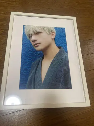 팬더드래곤 요타 사진