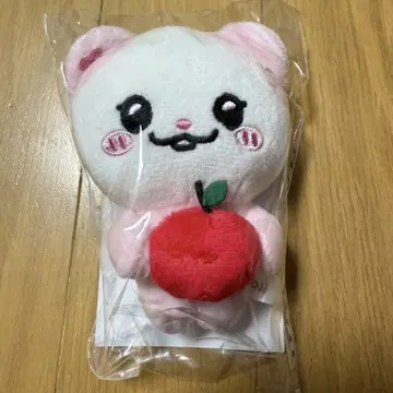 itzy pop up twinzy 백참 유나 NAong