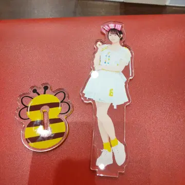 AKB48 오타 유키 다이마루 도쿄점 의상전 아크릴 스탠드 팀8