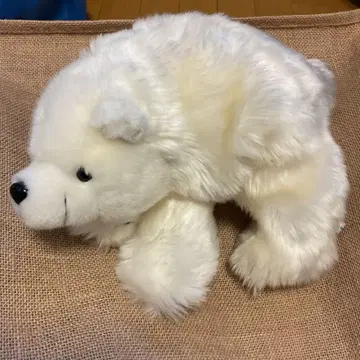 흰 곰 솜털