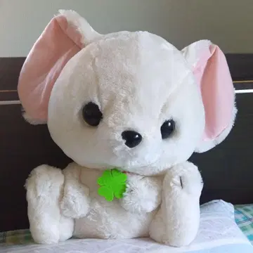 페넥 여우 페네키 BIG 봉제인형