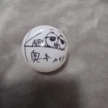 오쿠모토 카이리 AKB48 사인볼