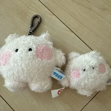 TRUZ 루루 ruru minini 세트