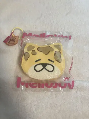 mellojoy 스퀴즈 표범 시게츠 짱