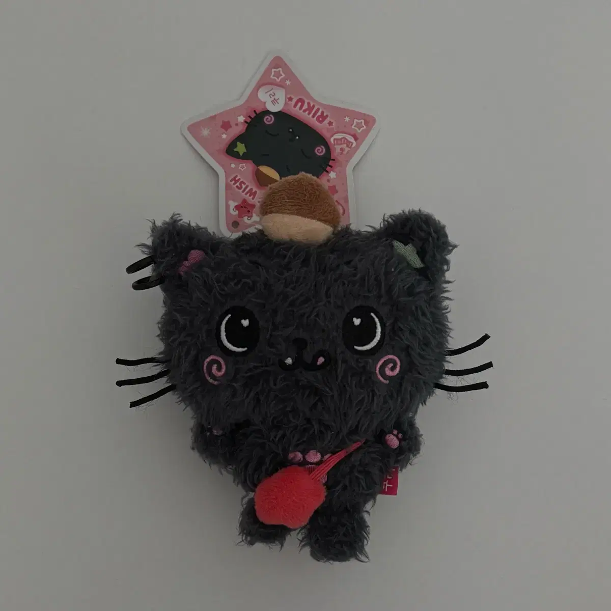 NCT | 엔시티 Nct wish riku doll Kuri Wishdoll old version on
