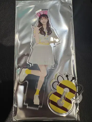 치바 에리 AKB48 다이마루 현 이름 머리띠 랜덤 아크릴 스탠드