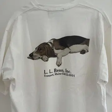 LLBEAN beams 콜라보 T셔츠 도크 프린트 화이트 M