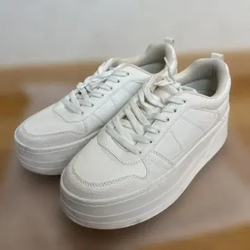 ZARA 자라 통굽 플랫폼 스니커즈 24