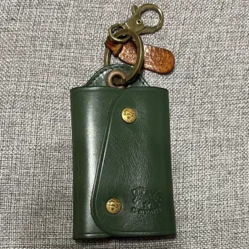 IL BISONTE 그린 키케이스
